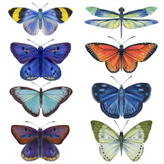set of watercolor butterflies. bright butterflies isolated on a white background. for cards and print.