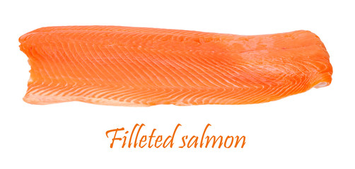 filleted salmon