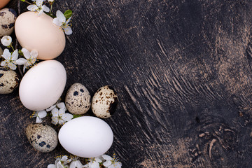 Chicken and quail eggs with blooming branch