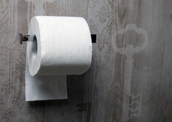 Roll of white toilet paper on metal paper holder in bathroom