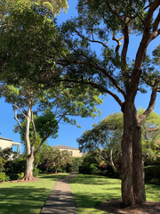 Small park at Sydney