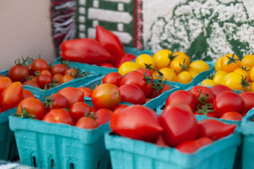 fresh vegetables in a basket
