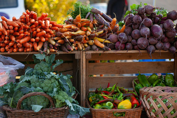 fresh vegetables at the market