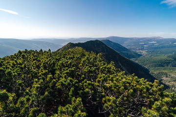 Autumn colorful view of Krkonose National Park and a ridge of Kozi hrbety. Giant mountains of Czech republic on a beatiful day. Hiking in Krkonose NP.