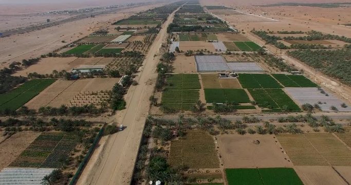 Desert Irrigated Farmland Drone Shot