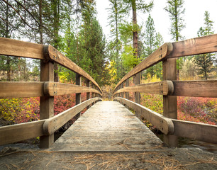 Autumn Bridge