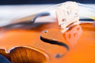 Close up of a violin.  © Oksana