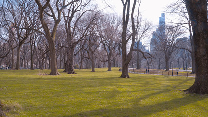 Fototapeta na wymiar Beautiful Central Park in New York