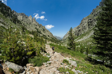 Vallée de la Restonica