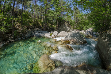 Obraz premium Restonica - Corse