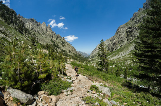 Vall&eacute;e de la Restonica