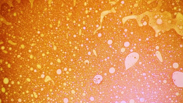Amazing golden patten with bubbles appearing background
