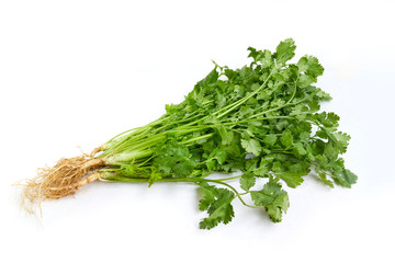 Bunch of fresh coriander leaves isolated on white background