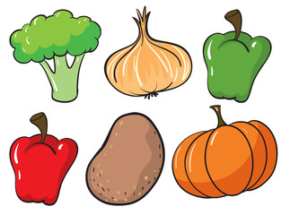 Large set of fruits and vegetables on white background