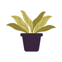 houseplant in pot isolated icon