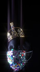 Urban medical mask and gold crown on the woman mannequin. Kinky expensive diamond accessory for celebrity model during virus disease COVID-19  coronavirus pandemic self isolation.