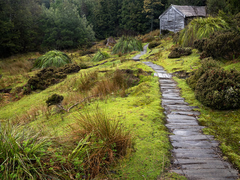 Ducane Hut - Overland Track, Tasmania