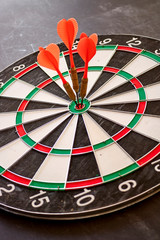 Dart Board