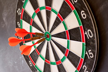 Dart Board