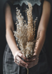 Woman hands holding reeds flowers on dark background with light, bokeh. Happy Easter holiday, selective focus, toning