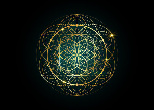Seed of life symbol Sacred Geometry. Geometric mystic mandala of alchemy  esoteric Flower of Life. Gold luxury design, vector divine meditative  amulet isolated on black background Stock Vector | Adobe Stock