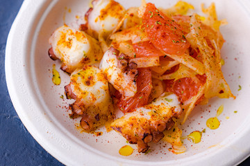 octopus