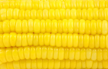 Colorful yellow sweet corn pattern