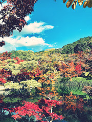 colorful autumn landscape and lake 