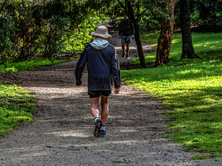Fototapeta premium Gravel Path