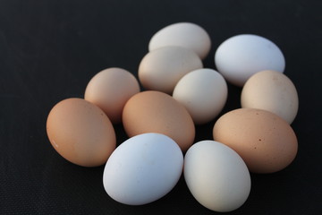Eggs