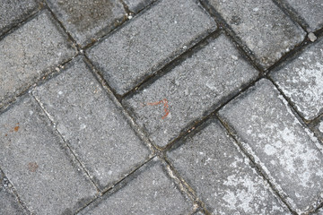 Light grey pavement pattern pathway