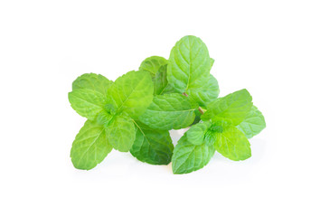 Fresh green mint leaves isolated on white background, Herb and medical concept