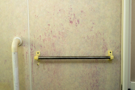 赤色酵母の繁殖した浴室の壁