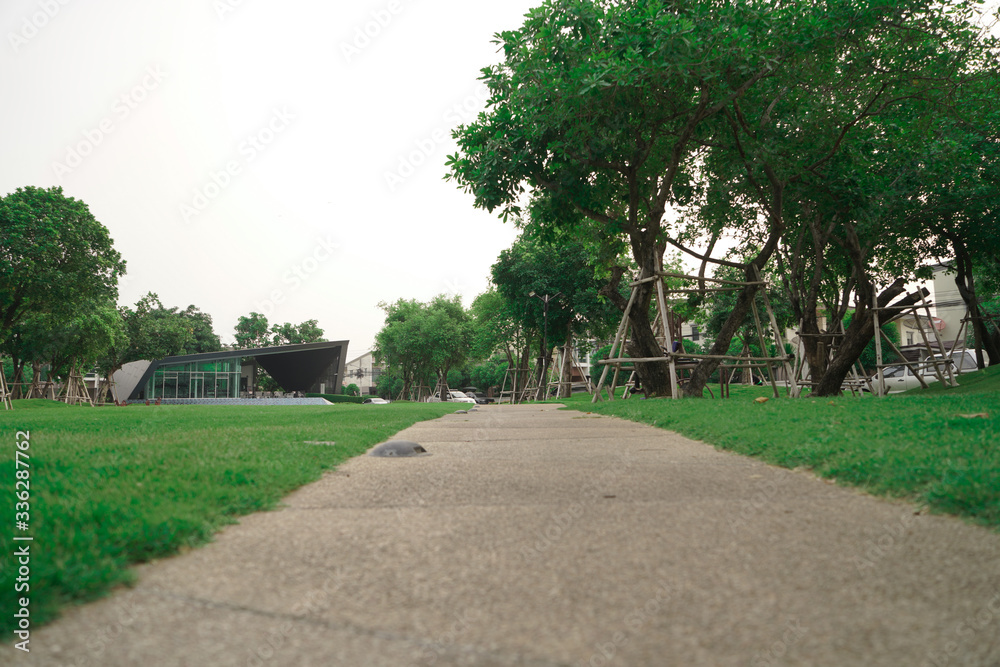 Canvas Prints alley in the park