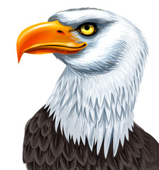 American eagle head. Digital illustration