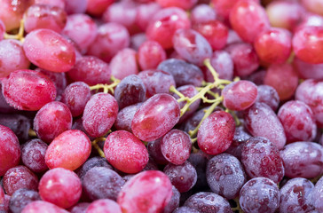 Close-up of fresh purple grapes from organic farm in the fresh market. Eaten as fruit and used in making wine.