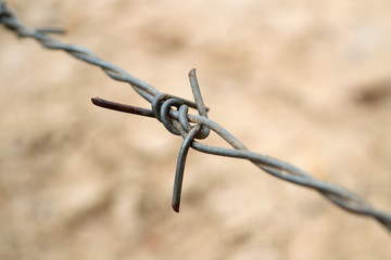 Close-up of rusty barbed wire on a natural background