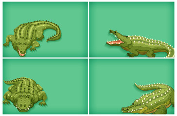 Naklejka premium Background template design with plain color and crocodiles