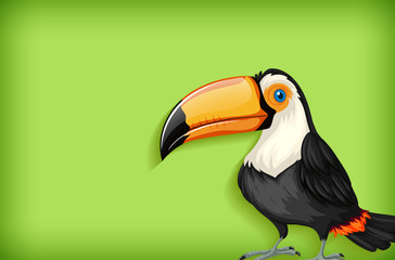 Background template with plain color and toucan bird © blueringmedia
