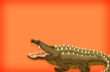 Background template design with plain color and crocodile