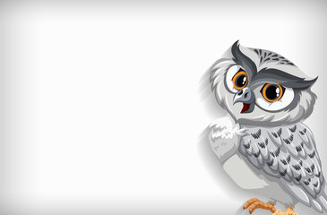 Background template with plain color and snow owl