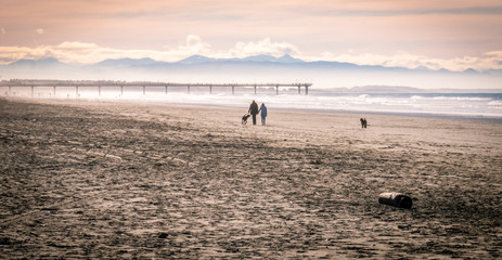 Couple with dogs walking on the beach during colorful sunset, shot at New Brighton Beach, Christchurch, New Zealand. - obrazy, fototapety, plakaty