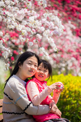 満開の桃の花を見ている子供姉妹二人