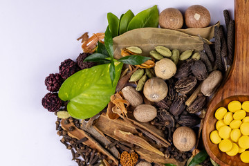 Cropped view in close up of herbal tablets with white background and dry herbs. herbal pills concept