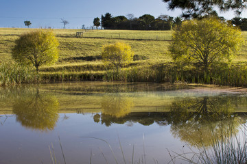 reflections in the water