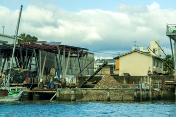 Fototapeta na wymiar Oyster processing in Hiroshima, famous of its oysters