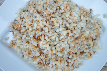 Red Ant Egg, traditional food in northeastern Thailand