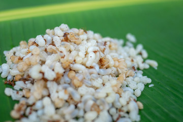 Red Ant Egg, traditional food in northeastern Thailand