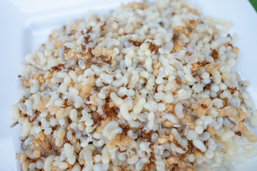 Red Ant Egg, traditional food in northeastern Thailand