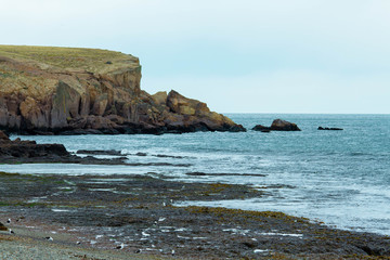 Coast and Cliff